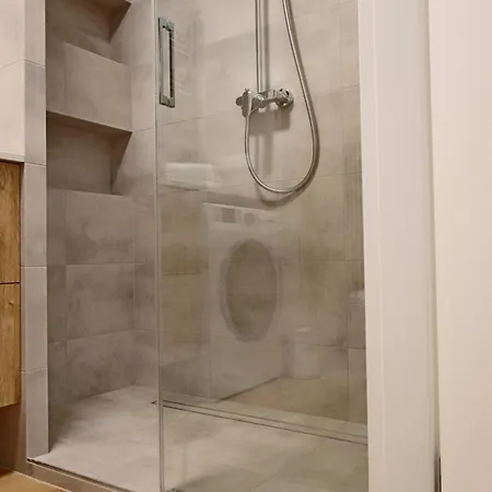 Silver One Apartment *